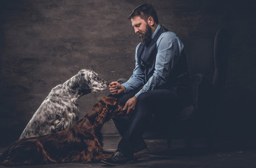 Bearded hunter wearing elegant clothes sitting on a sofa with his two purebred Setter dogs.