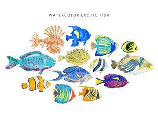 Set of cute tropical fishes on white background.