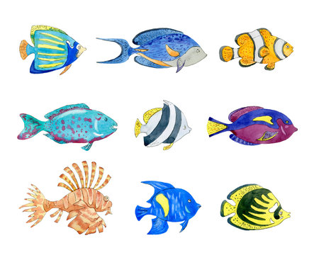 Set of cute tropical fishes on white background.