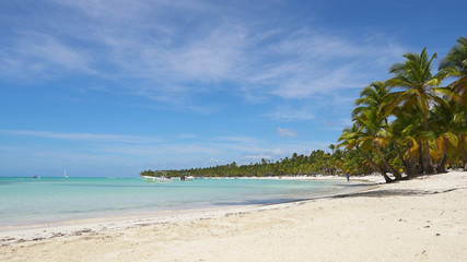 Tropical beach with coconut palm trees, Maldives travel destination. Peaceful tropical beaches. lagoon paradise clear blue sea, coconut palm trees, white sandy beach at Bora Bora island, Tahiti