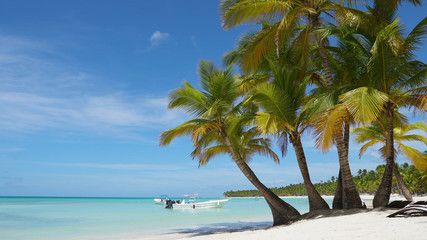Caribbean island beach and palm trees on Dominican Republic Punta Cana. Blue ocean and white sand and palms. Boat on the waves. Background summer vacation. Crystal clear water Atlantic ocean. Paradise