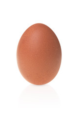Brown egg on a white background