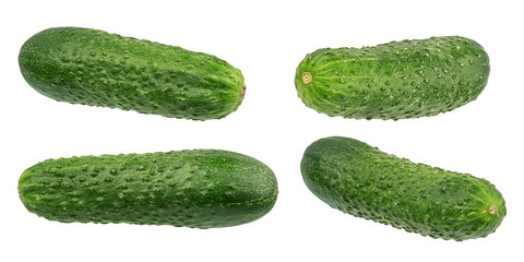 Cucumber isolated on white background