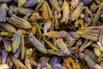 Lavendel getrocknete Blüten Close up, Gesunde Heilkräuter Homoöpathie