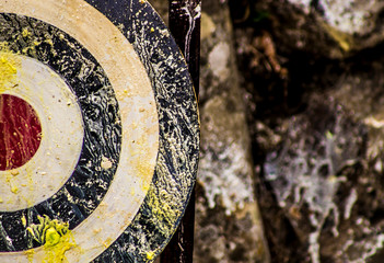 Paintball target 