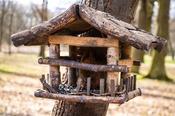 Squirrel sitting in the feeder and eating a nut.