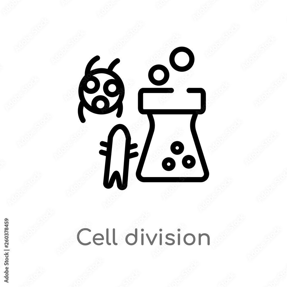 Poster outline cell division vector icon. isolated black simple line element illustration from chemistry co