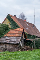 Fototapeta na wymiar Bemoostes und zugewachsenes Dach am Altbau