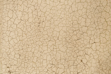 Painted wall in white. The surface is covered with craquelure.