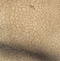 Painted wall in white. The surface is covered with craquelure.