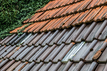 Obraz na płótnie Canvas Bemoostes und zugewachsenes Dach am Altbau