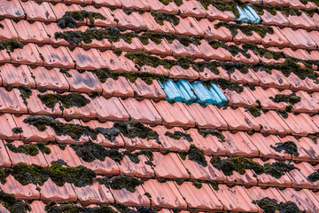Bemoostes und zugewachsenes Dach am Altbau