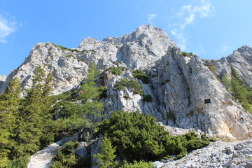 Fototapeta na wymiar mountain in the alps