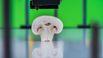 Mushrooms(champignon) in a 3D printer .Organic 3D printing.