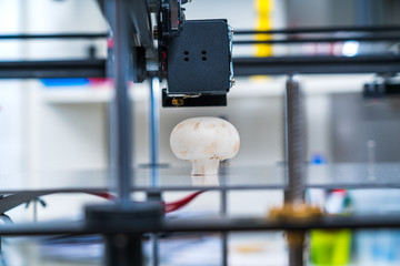 Mushrooms(champignon) in a 3D printer .Organic 3D printing.