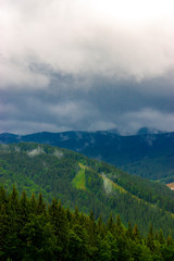 Beautiful Carpathian forest after the rain