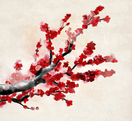 Spring and summer flowers collection – japanese cherry tree branch with beautiful red blossoms in digital watercolor style