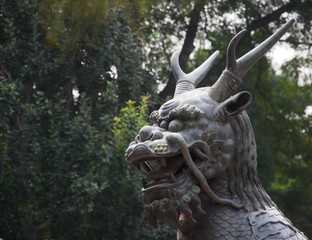 Head of a large statue of chinese dragon