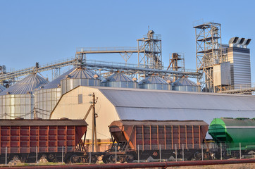 Loading railway carriages with grain at grain elevator.