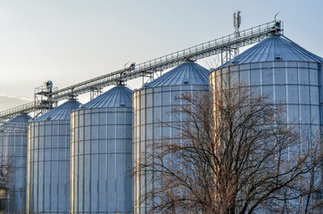 Obraz premium Complex of agriculturtal grain elevators for storage