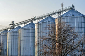 Complex of agriculturtal grain elevators for storage