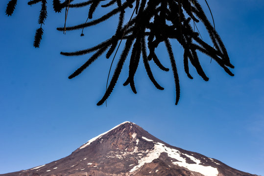 lanin volvan