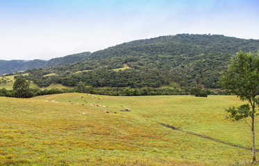 Paisagem com pasto e colina
