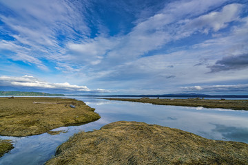Fototapeta premium Tidal Lands Marsh On Puget Sound