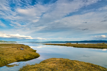 Tidal Lands Marsh On Puget Sound