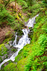 Waterfall on the Cataract trail in Marin Municipal Water District, Marin county, north San Francisco bay area, California