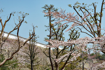 Akashi-jo (Akashi castle) in Hyogo prefecture, Japan