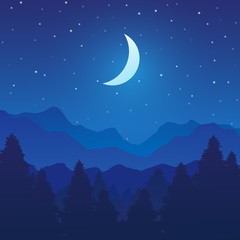 Obraz na płótnie Canvas Mountain and forest landscape with trees on night, Vector illustration 