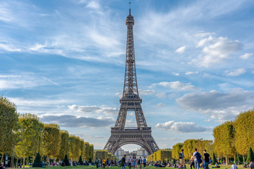 Obraz premium Eiffel Tower