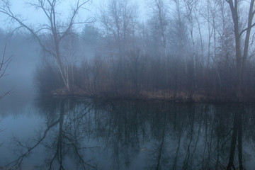 foggy winter scene
