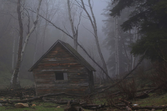 Old Cabin in Fog