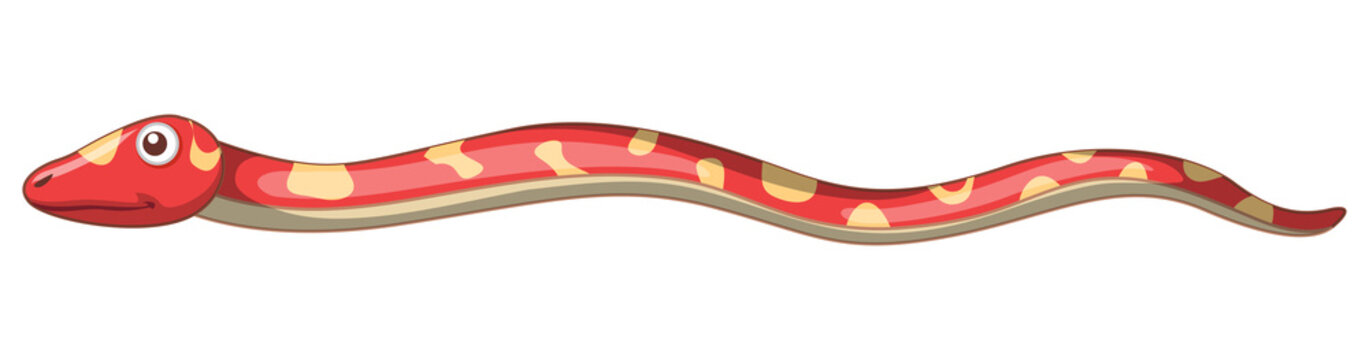 A red snake on white background