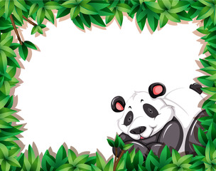 Panda in nature frame