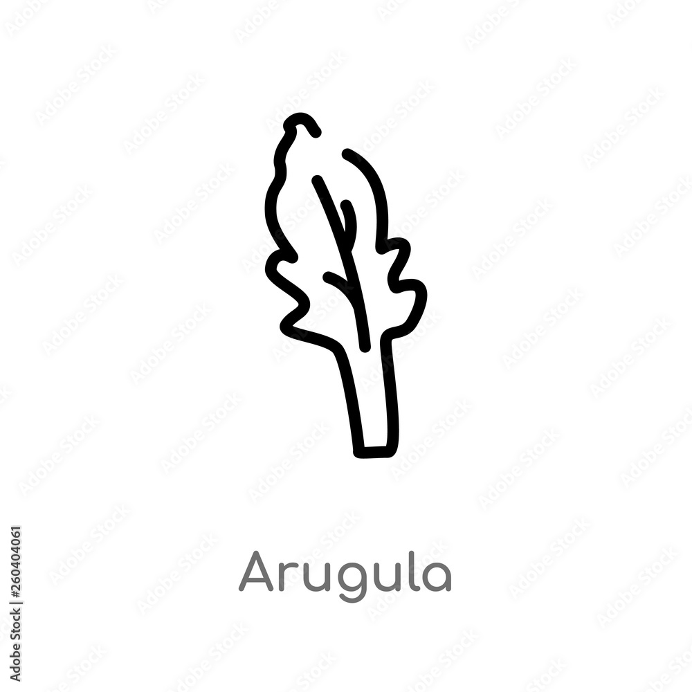 Poster outline arugula vector icon. isolated black simple line element illustration from fruits and vegetab