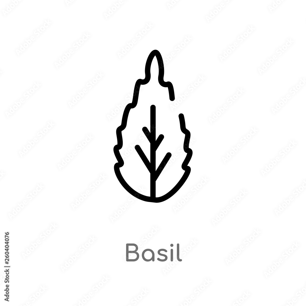 Poster outline basil vector icon. isolated black simple line element illustration from fruits and vegetable
