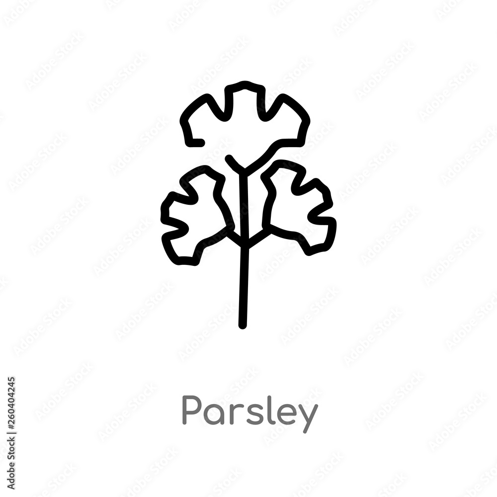 Poster outline parsley vector icon. isolated black simple line element illustration from fruits concept. ed