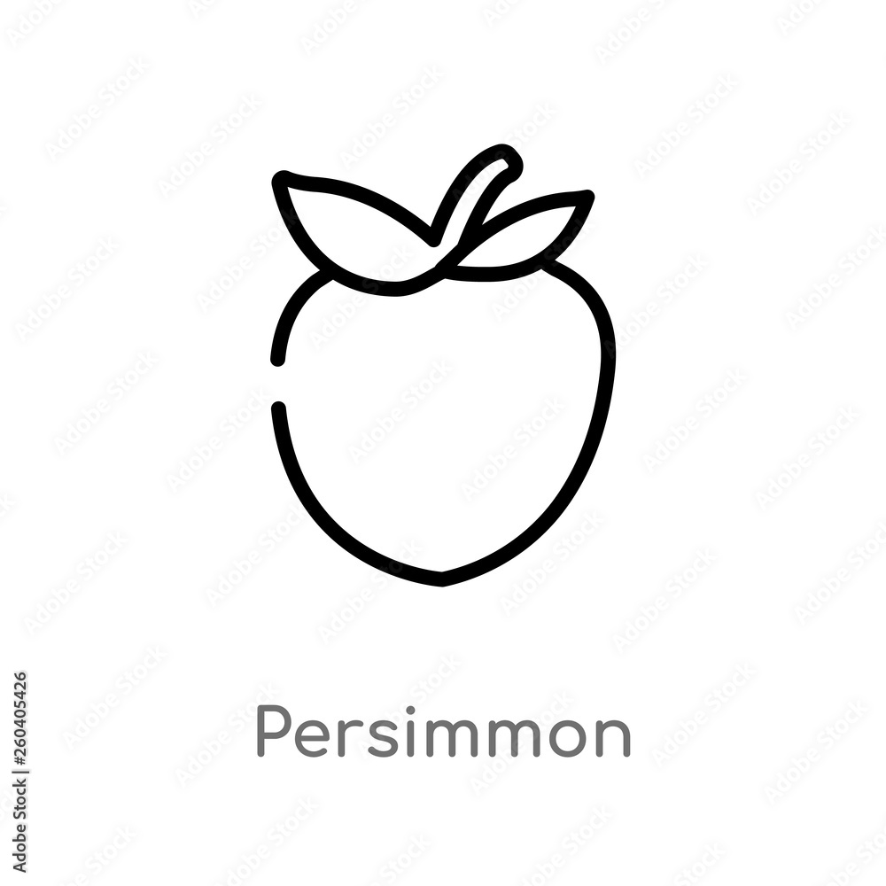 Poster outline persimmon vector icon. isolated black simple line element illustration from gastronomy conce