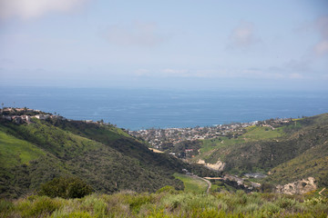 Aliso & Woods Canyon Wilderness trail in the spring after a rainy season, Laguna Beach, CA hiking trails.