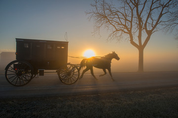 Fototapeta na wymiar Amish Horse and Buggy in Silhouette with Shadows