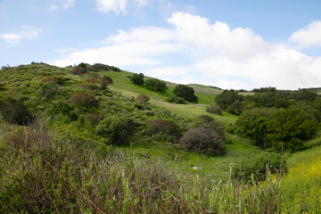 Obraz premium Hiking through the Limestone Canyon Regional Park after a rainy season