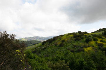 Hiking through the Limestone Canyon Regional Park after a rainy season