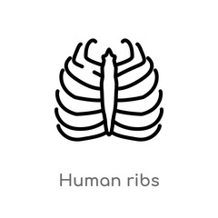 outline human ribs vector icon. isolated black simple line element illustration from human body parts concept. editable vector stroke human ribs icon on white background