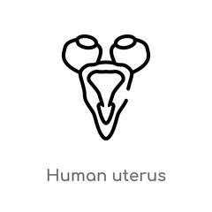 outline human uterus vector icon. isolated black simple line element illustration from human body parts concept. editable vector stroke human uterus icon on white background