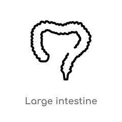outline large intestine vector icon. isolated black simple line element illustration from human body parts concept. editable vector stroke large intestine icon on white background