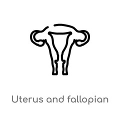 outline uterus and fallopian tube vector icon. isolated black simple line element illustration from human body parts concept. editable vector stroke uterus and fallopian tube icon on white