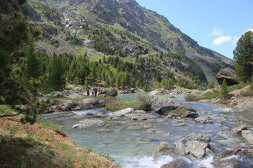 Naklejka na ściany i meble The beauty of the Altai Mountains in summer in good weather.